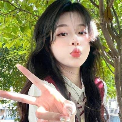 哈吉布基的森林冒险