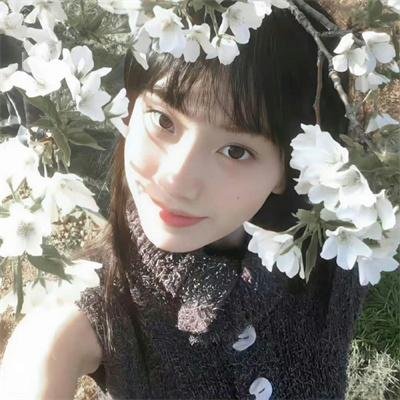 切尔西侦探第二季